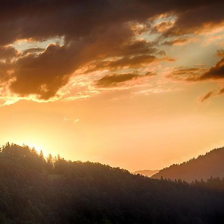 Gostilna Pension Blegos Poljane nad Škofjo Loko Dış mekan fotoğraf