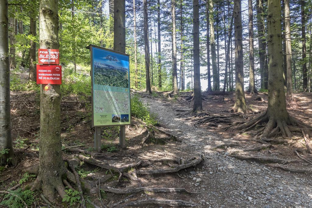 Gostilna Pension Blegos Poljane nad Škofjo Loko Dış mekan fotoğraf