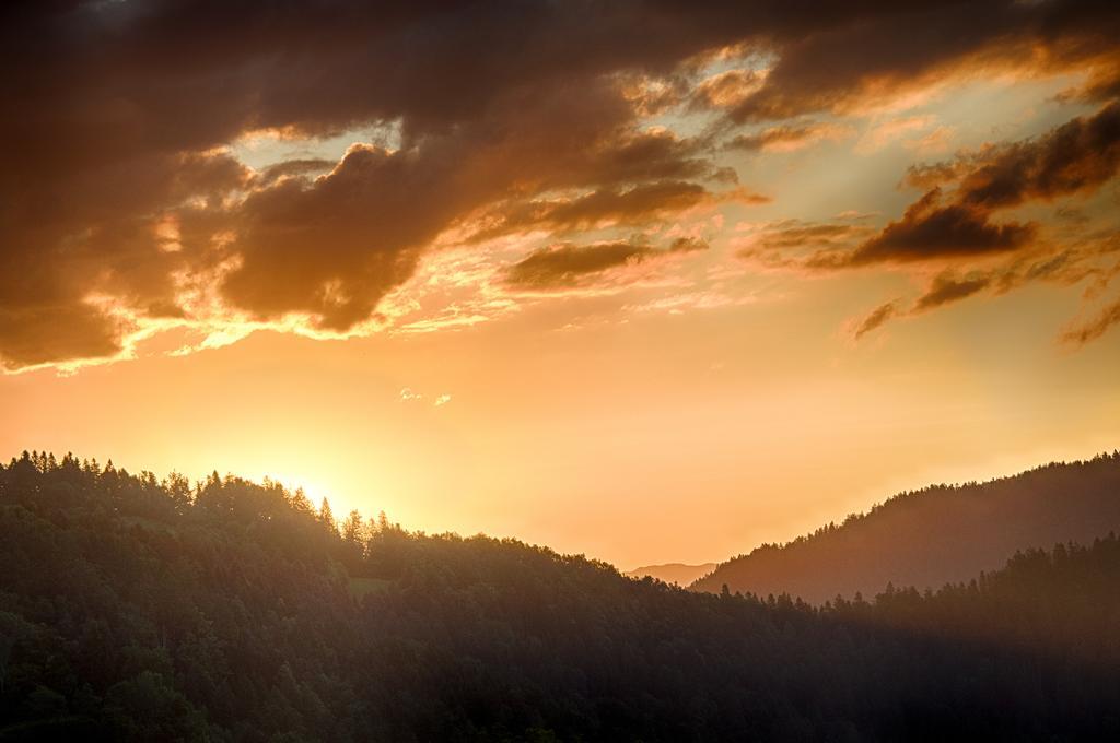 Gostilna Pension Blegos Poljane nad Škofjo Loko Dış mekan fotoğraf