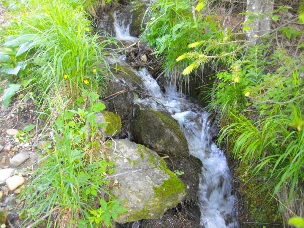 Gostilna Pension Blegos Poljane nad Škofjo Loko Dış mekan fotoğraf