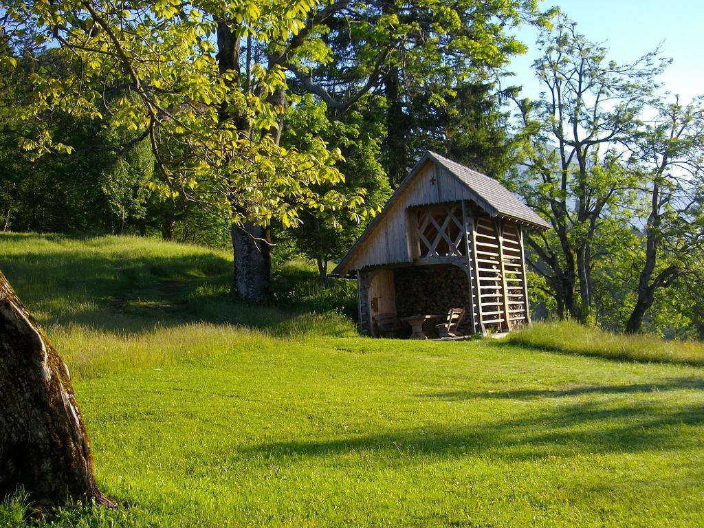 Gostilna Pension Blegos Poljane nad Škofjo Loko Dış mekan fotoğraf