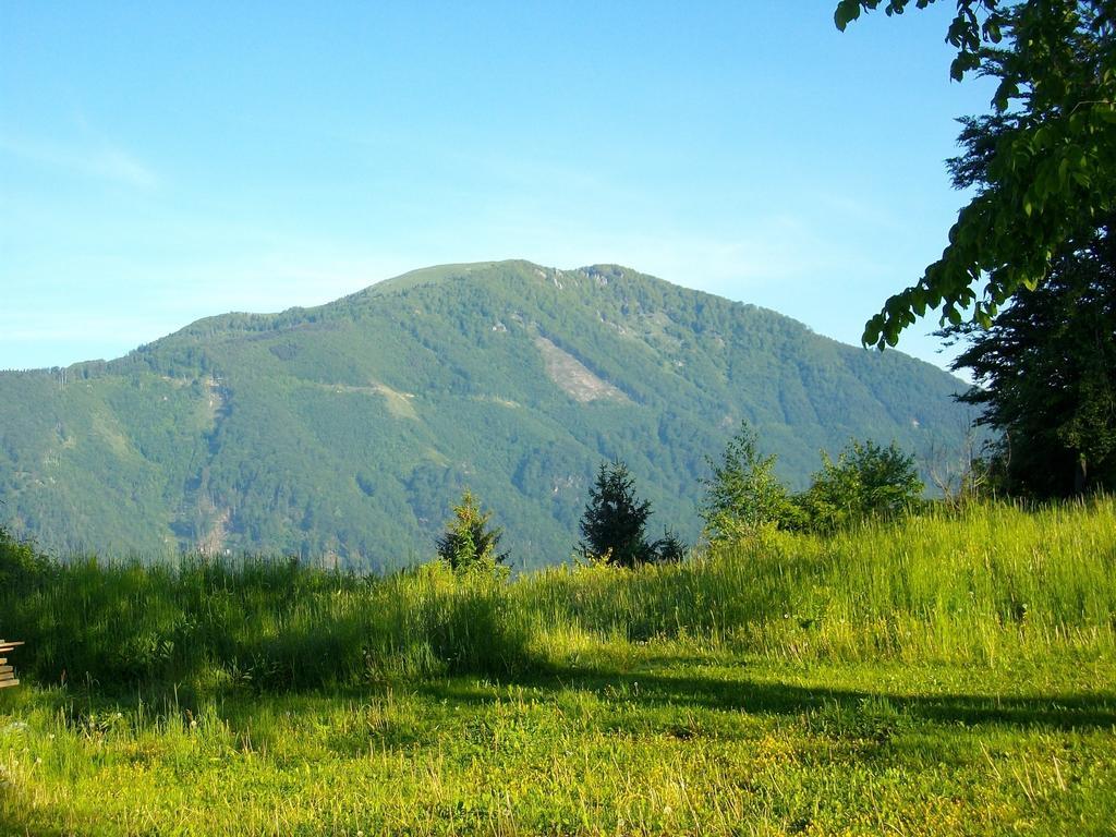 Gostilna Pension Blegos Poljane nad Škofjo Loko Dış mekan fotoğraf